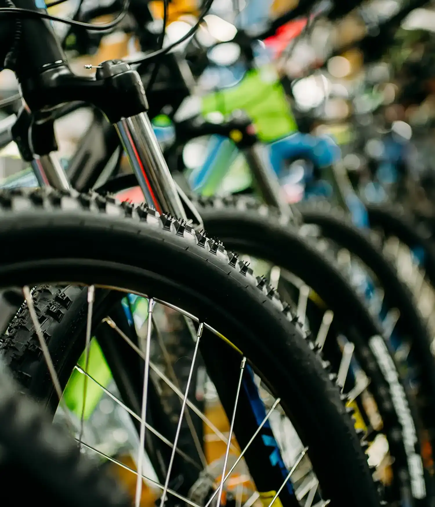 Vente de vélos de loisir et électriques à Auray et Vannes